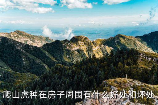爬山虎的作用，爬山虎種在房子周圍有什么好處和壞處