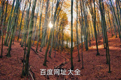 學習網官網，無敵學習網的官網網址是什么