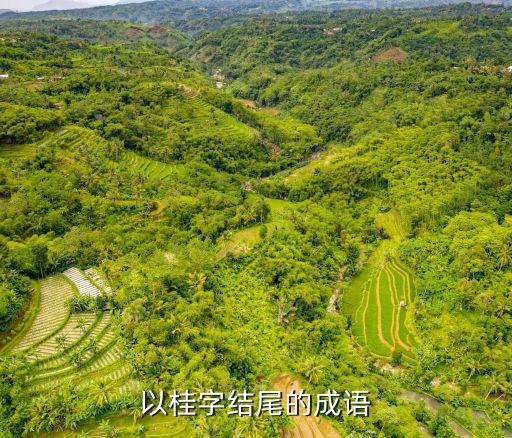 桂的成語，有關(guān)桂花的成語