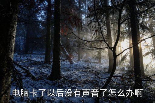 電腦卡了以后沒有聲音了怎么辦啊