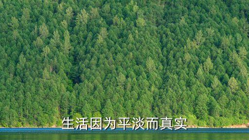 平平淡淡最真實的句子，生活因為平淡而真實
