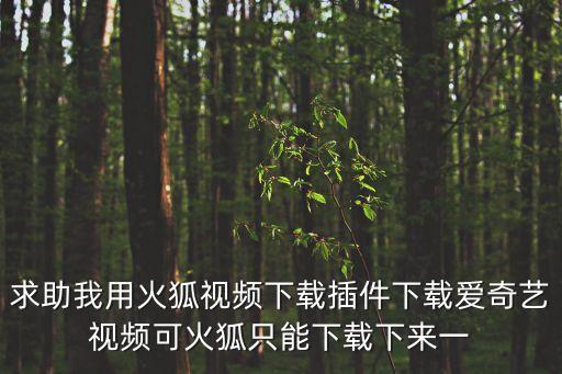 求助我用火狐視頻下載插件下載愛奇藝視頻可火狐只能下載下來一
