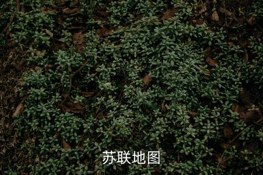 俄羅斯歷史地圖，蘇聯地圖