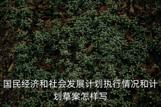 國民經(jīng)濟和社會發(fā)展計劃執(zhí)行情況和計劃草案怎樣寫