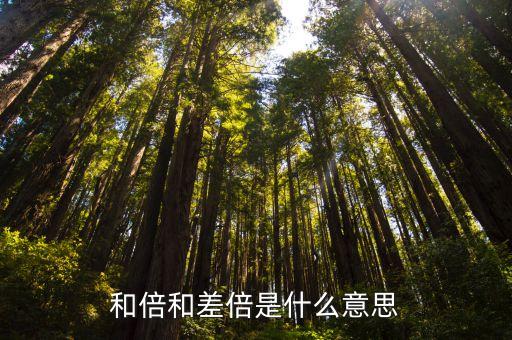 差倍問題公式，用差倍問題解要相應的公式哦