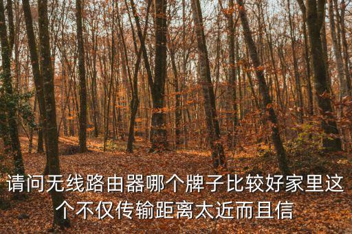 最好的路由器，請問無線路由器哪個牌子比較好家里這個不僅傳輸距離太近而且信
