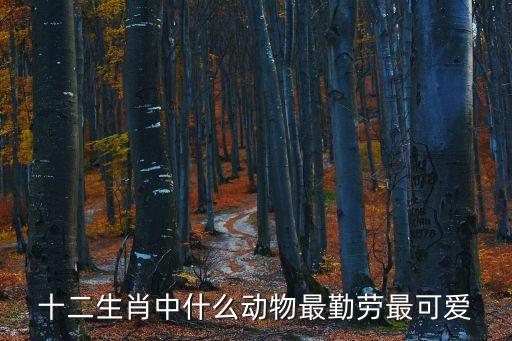 十二生肖中什么動(dòng)物最勤勞最可愛