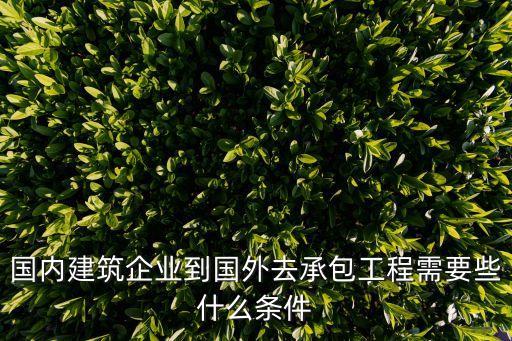 國內建筑企業到國外去承包工程需要些什么條件