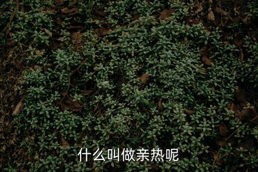 親熱的意思，什么叫做親熱呢