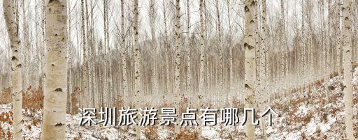 深圳的旅游景點，深圳旅游景點有哪幾個