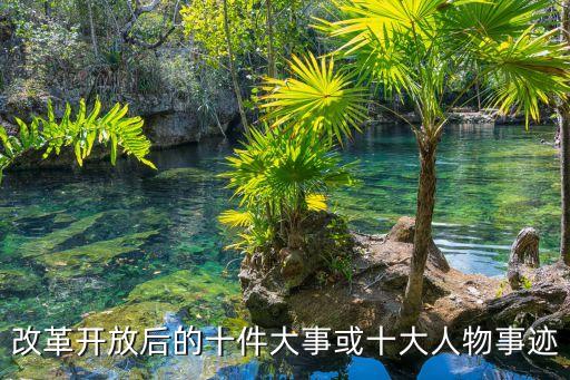 改革開放后的十件大事或十大人物事跡