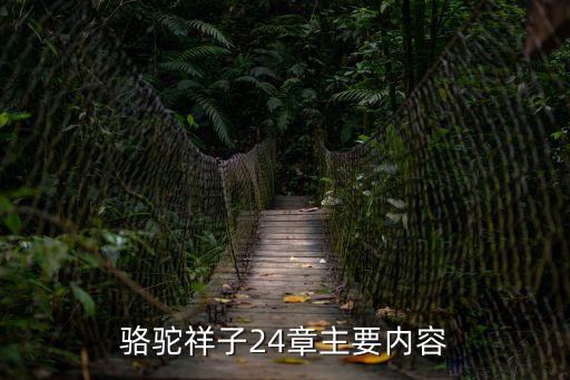 駱駝祥子24章主要內(nèi)容