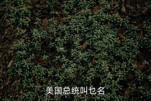 美國總統叫乜名