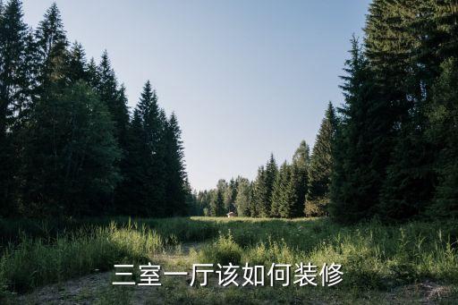 3室1廳裝修，三室一廳該如何裝修