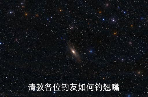 請教各位釣友如何釣翹嘴