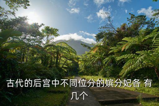 九嬪，唐朝的妃嬪等級