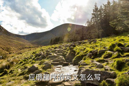 程序英文，顯卡驅動程序的英文縮寫是什么