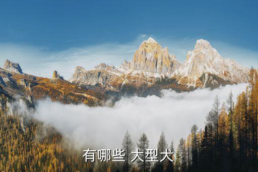 有哪些 大型犬