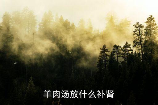 羊肉湯放什么補腎