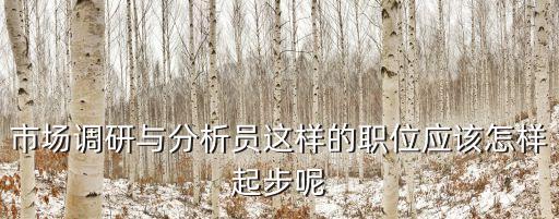 市場調研與分析員這樣的職位應該怎樣起步呢