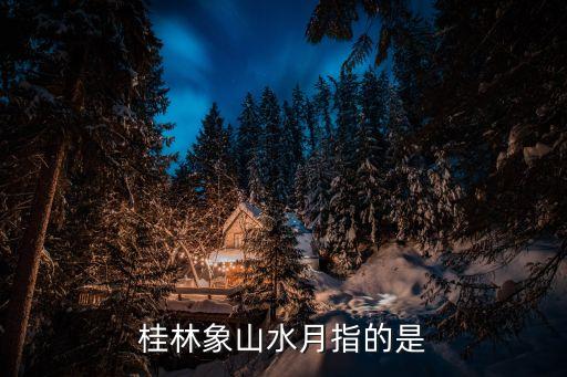 象山水月，短文在介紹象山水月詩分別介紹了什么和什么時候