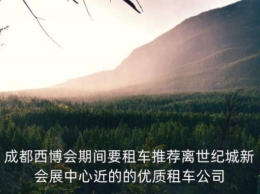 錦宏租車，成都有沒有和快的打車一號(hào)專車合作的租車公司