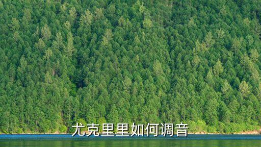 尤克里里怎么調音，尤克里里要怎么調音