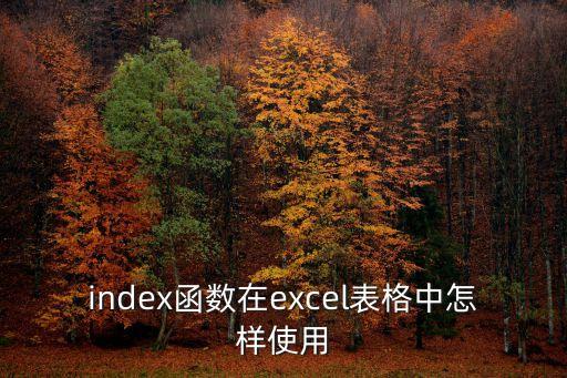 index函數(shù)在excel表格中怎樣使用