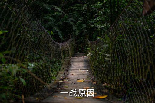 一戰(zhàn)原因