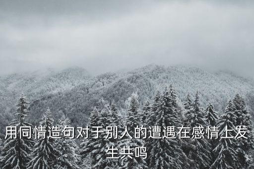 同情造句，用同情造句對別人的行動表示贊同