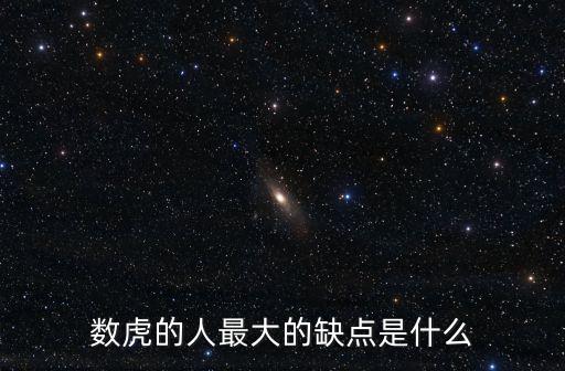 數虎的人最大的缺點是什么