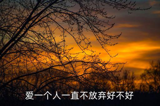 愛不放棄，愛一個人一直不放棄好不好