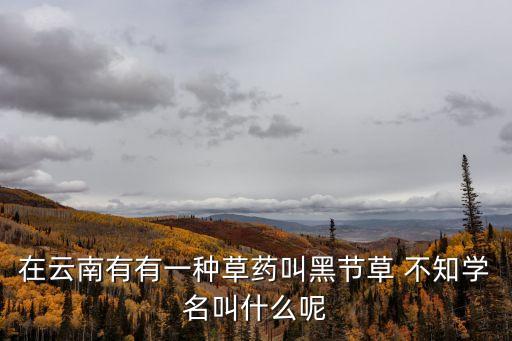 黑節(jié)草，在云南有有一種草藥叫黑節(jié)草 不知學(xué)名叫什么呢