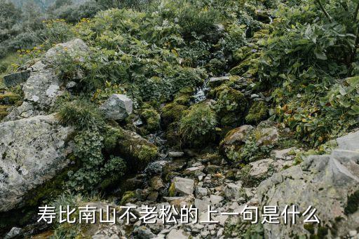 南山不老松，壽比南山不老松的上一句是什么