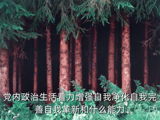 黨內(nèi)政治生活著力增強自我凈化自我完善自我革新和什么能力