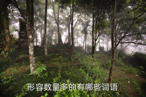 形容數量多，求形容數量多的詞語