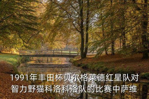 薩維切維奇，1991年豐田杯貝爾格萊德紅星隊對智力野貓科洛科洛隊的比賽中薩維