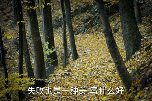 失敗也是一種美，突然覺得失敗也是一種美好