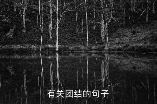 有關團結的句子