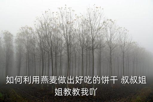 麥片餅干，如何利用燕麥做出好吃的餅干 叔叔姐姐教教我吖