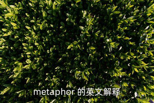 采購的英文，metaphor 的英文解釋