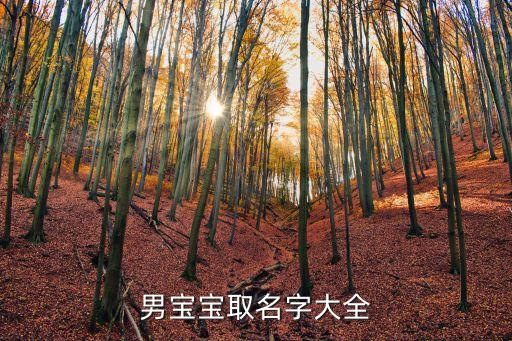 男寶寶取名字大全