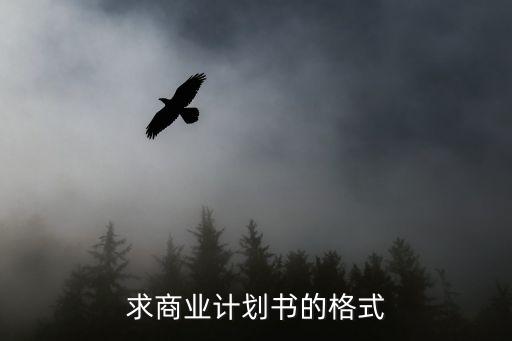 商業(yè)計(jì)劃書格式，商業(yè)計(jì)劃書模板是怎么樣的