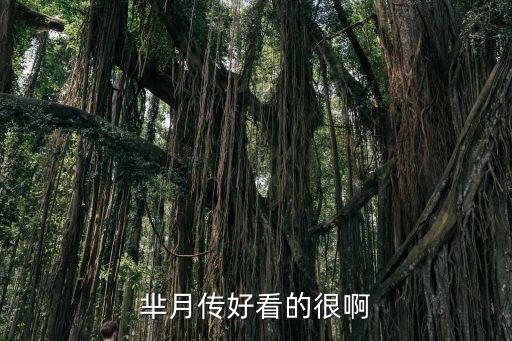 電視連續劇羋月傳，羋月傳好看的很啊