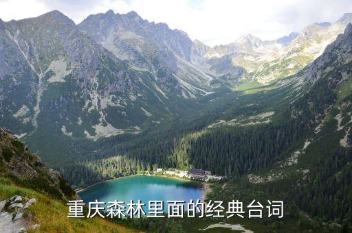 重慶森林臺詞，誰可以告訴我一些里的經典臺詞