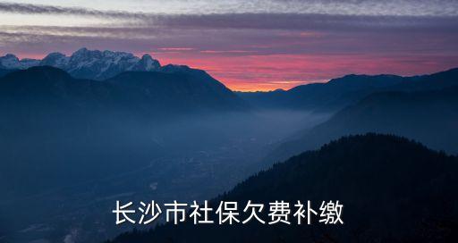 長沙市社保欠費補繳