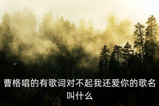 對不起我還愛你，歌詞是對不起我還愛你還下著雨傷我的心求歌名男的唱的