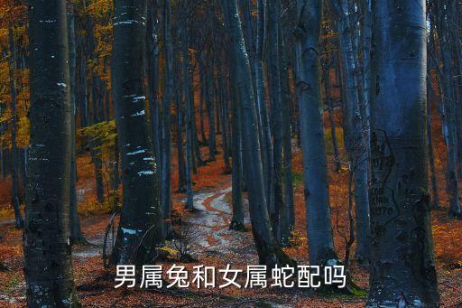 屬兔和屬蛇的合不合，屬蛇和屬兔的合不合
