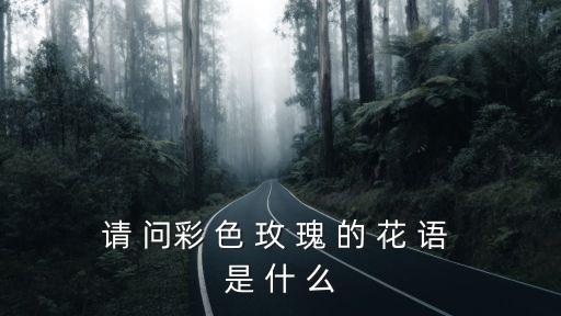 彩色玫瑰，請(qǐng) 問彩 色 玫 瑰 的 花 語 是 什 么