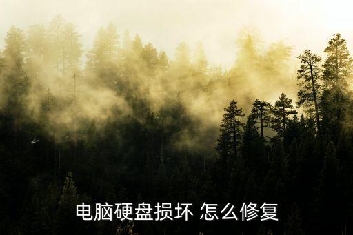 電腦硬盤損壞 怎么修復